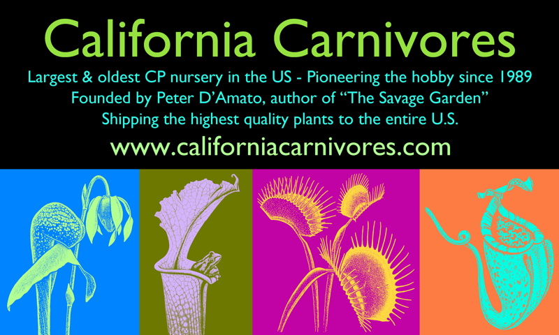 California Carnivores
